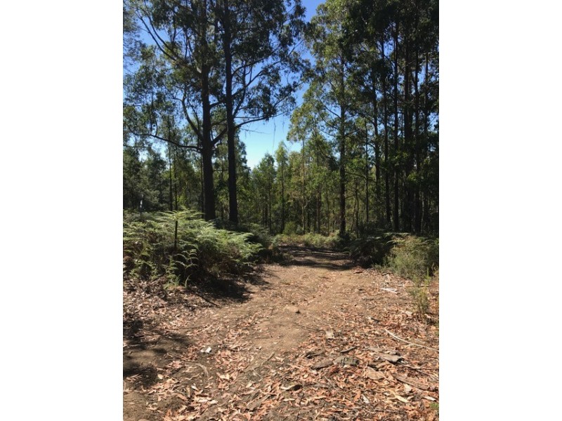 Lot 1 Smiths Road, Moogara TAS 7140