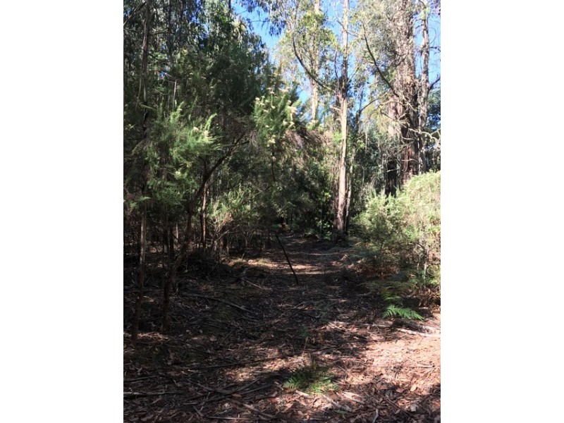 Lot 1 Smiths Road, Moogara TAS 7140
