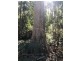 Lot 1 Smiths Road, Moogara TAS 7140