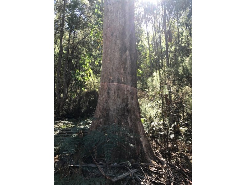 Lot 1 Smiths Road, Moogara TAS 7140