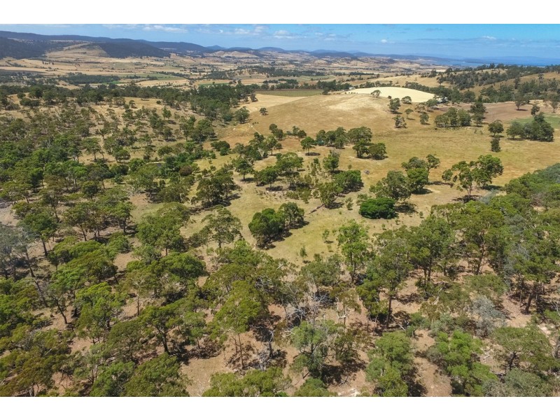 160 Tullamore Road, Orielton TAS 7172