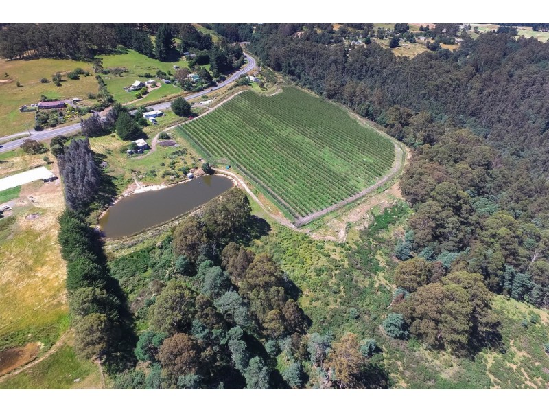 1555 Huon Highway, Lower Longley TAS 7109