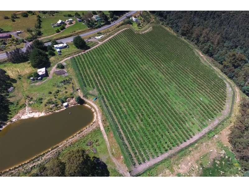 1555 Huon Highway, Lower Longley TAS 7109