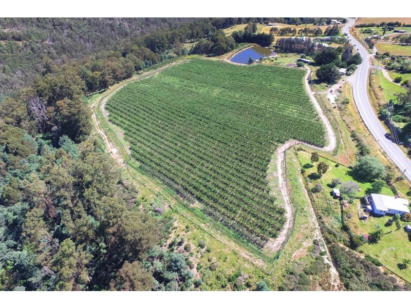 1555 Huon Highway, Lower Longley TAS 7109