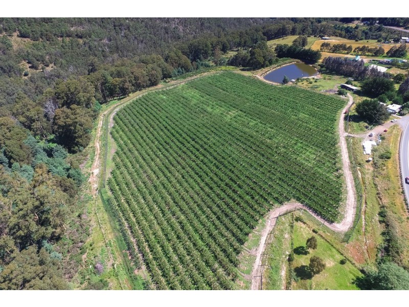 1555 Huon Highway, Lower Longley TAS 7109