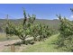 1555 Huon Highway, Lower Longley TAS 7109