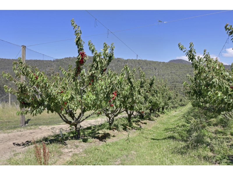1555 Huon Highway, Lower Longley TAS 7109