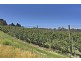 1555 Huon Highway, Lower Longley TAS 7109