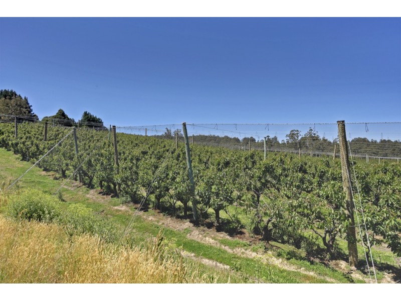 1555 Huon Highway, Lower Longley TAS 7109