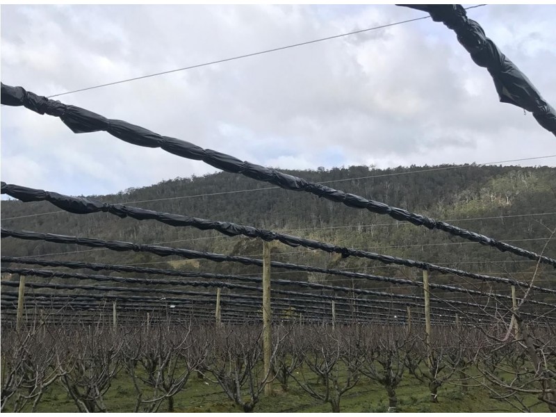 1555 Huon Highway, Lower Longley TAS 7109