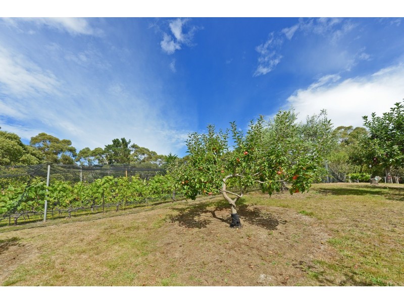 204 Sandfly Road, Margate TAS 7054