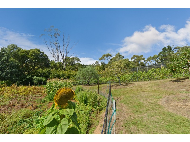 204 Sandfly Road, Margate TAS 7054