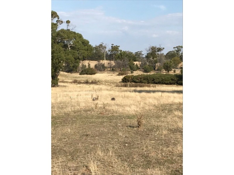 Lot 2 Cathcart Street, Swansea TAS 7190