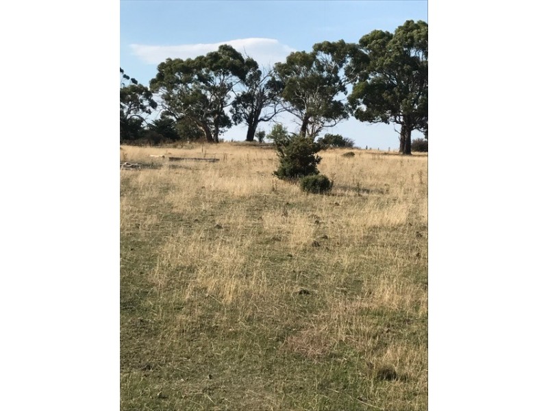 Lot 2 Cathcart Street, Swansea TAS 7190