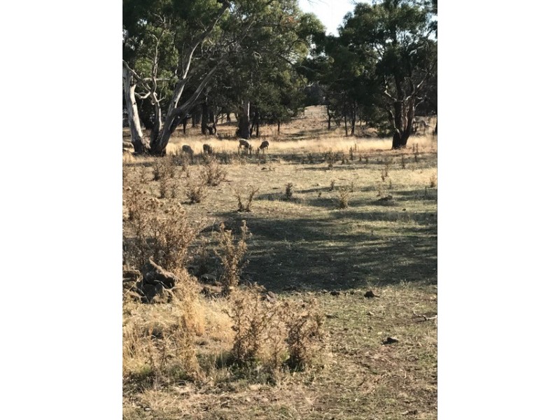 Lot 2 Cathcart Street, Swansea TAS 7190