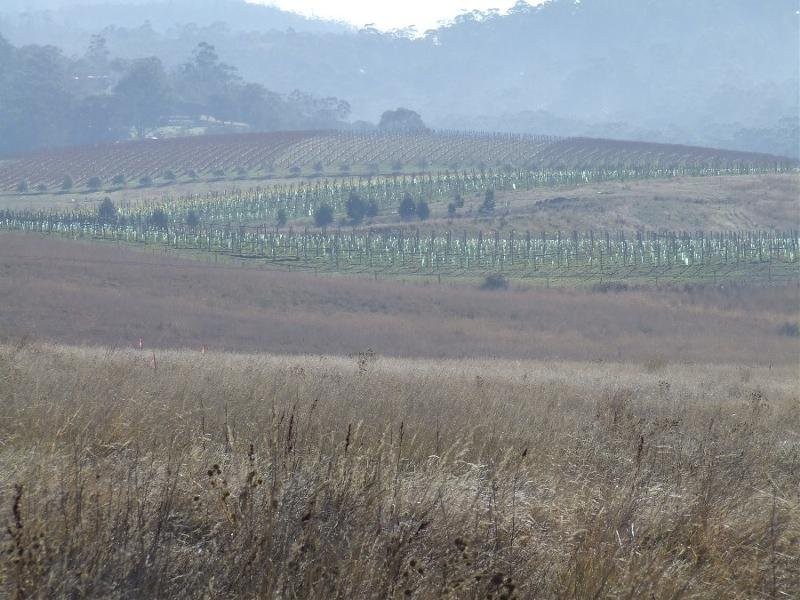 . Glebe Hill Estate, Howrah TAS 7018