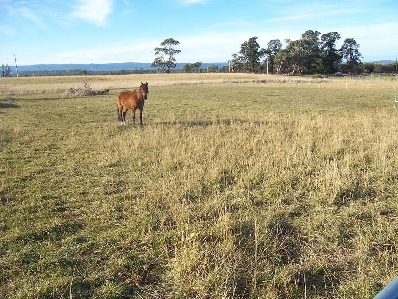 185 Jeune Drive, Acton Park TAS 7170