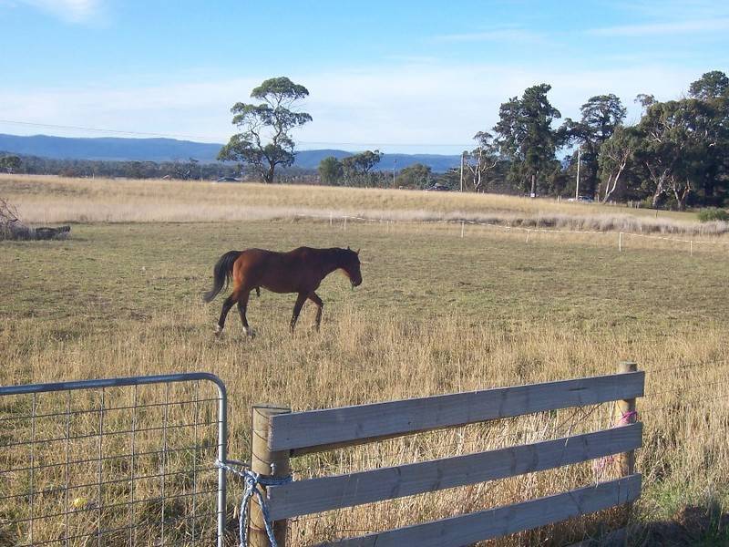 185 Jeune Drive, Acton Park TAS 7170