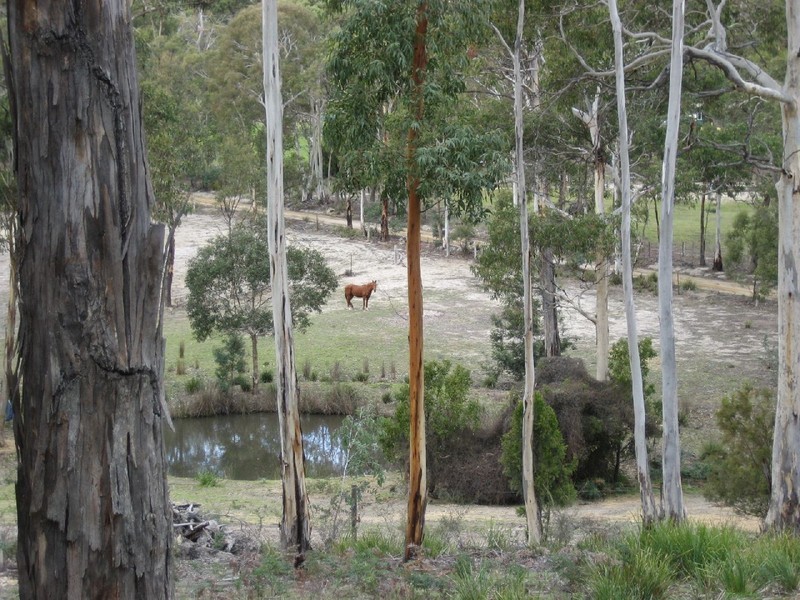 434 Rifle Range Road, Sandford TAS 7020