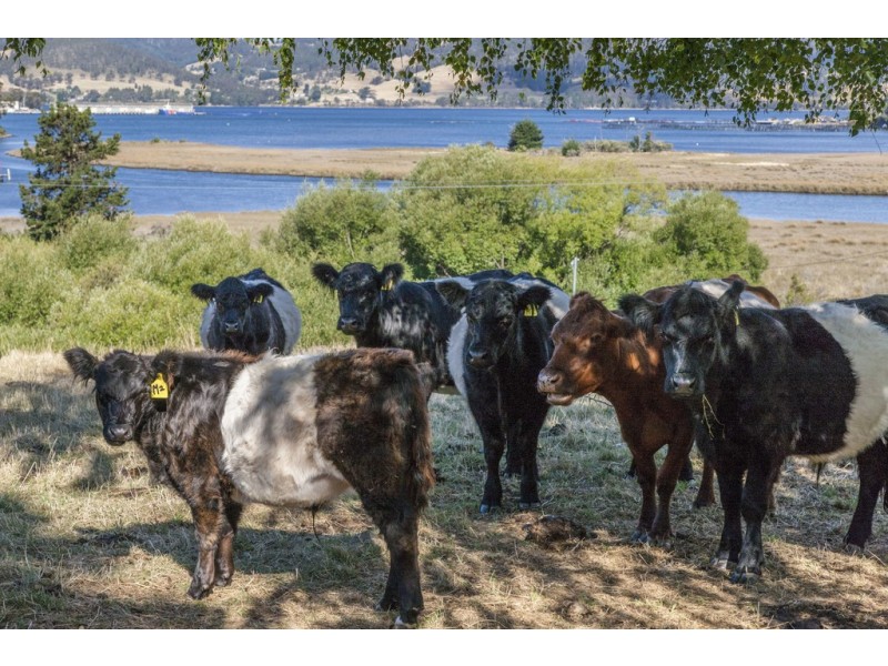 10 Sorell Street, Port Huon TAS 7116