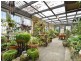 518 York Plains Road, York Plains TAS 7120