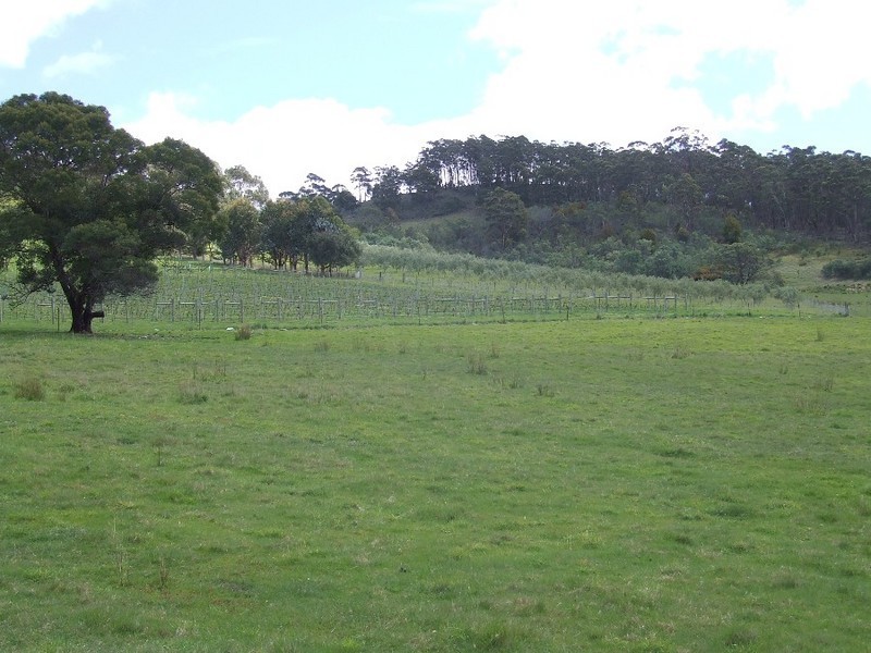 447 Native Corners Road, Campania TAS 7026