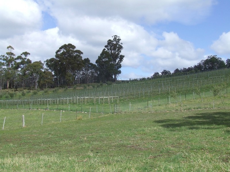 447 Native Corners Road, Campania TAS 7026