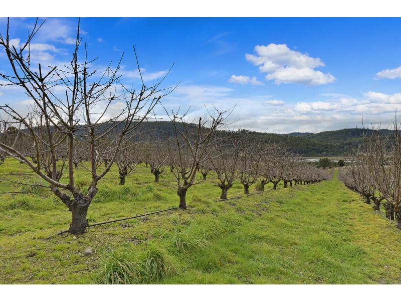 Lot 1 Narrows Road, Dover TAS 7117