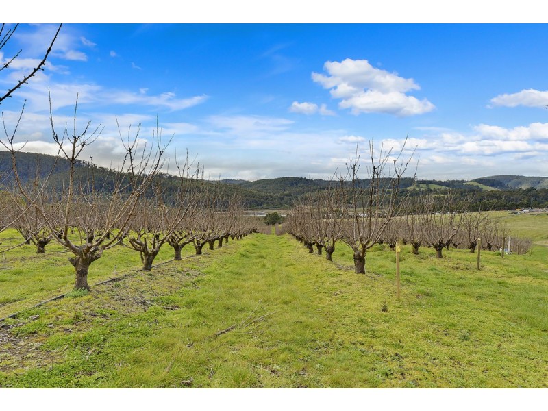 Lot 1 Narrows Road, Dover TAS 7117