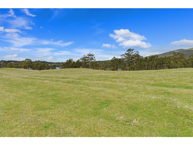 Lot 1 Narrows Road, Dover TAS 7117