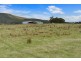 Lot 1 Narrows Road, Dover TAS 7117