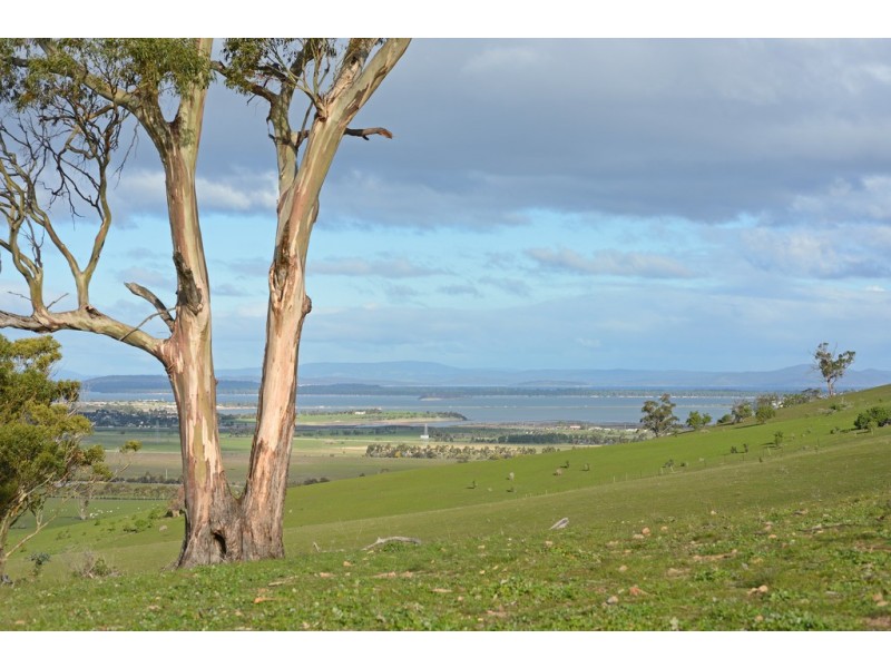 119 Orielton Road, Orielton TAS 7172