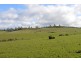 119 Orielton Road, Orielton TAS 7172