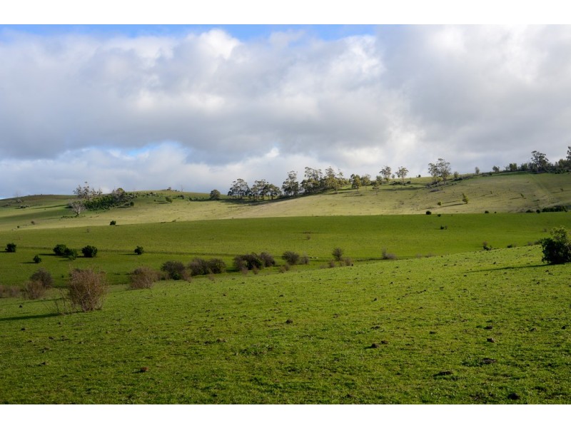 119 Orielton Road, Orielton TAS 7172