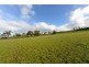 119 Orielton Road, Orielton TAS 7172