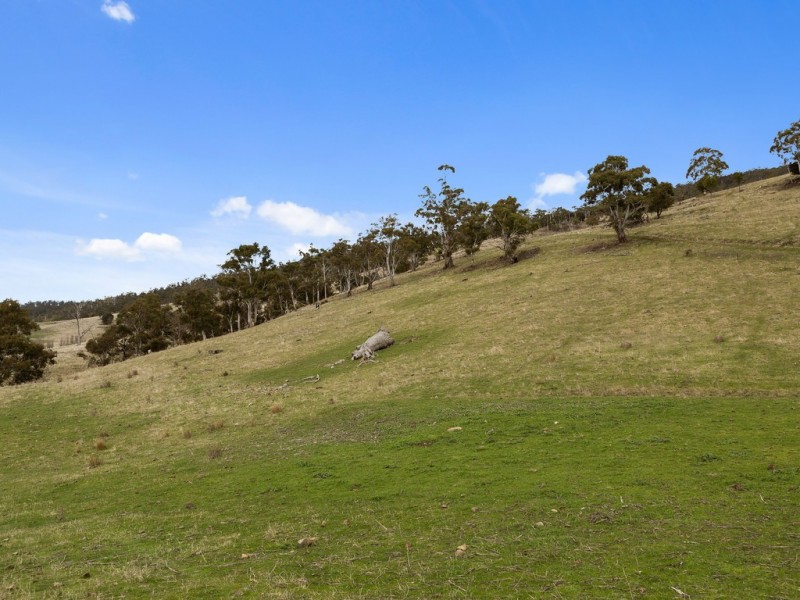 Lot 3/1211 Glenora Road, Bushy Park TAS 7140