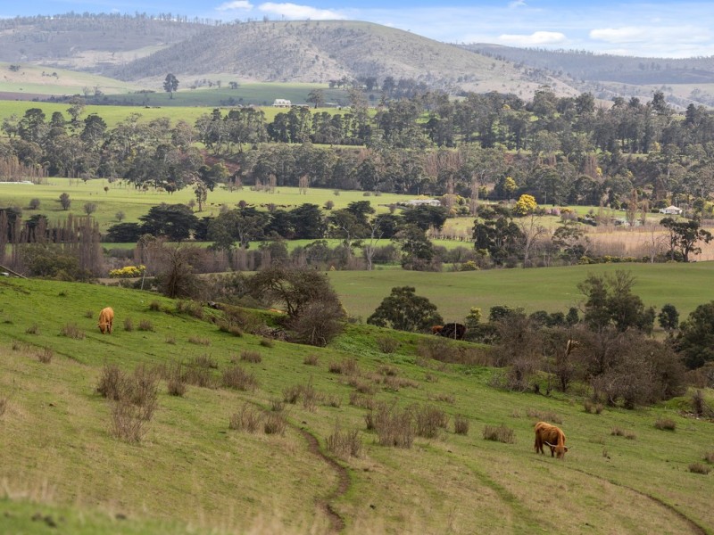 Lot 3/1211 Glenora Road, Bushy Park TAS 7140