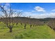 Lot 1 Narrows Road, Dover TAS 7117