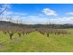 Lot 1 Narrows Road, Dover TAS 7117