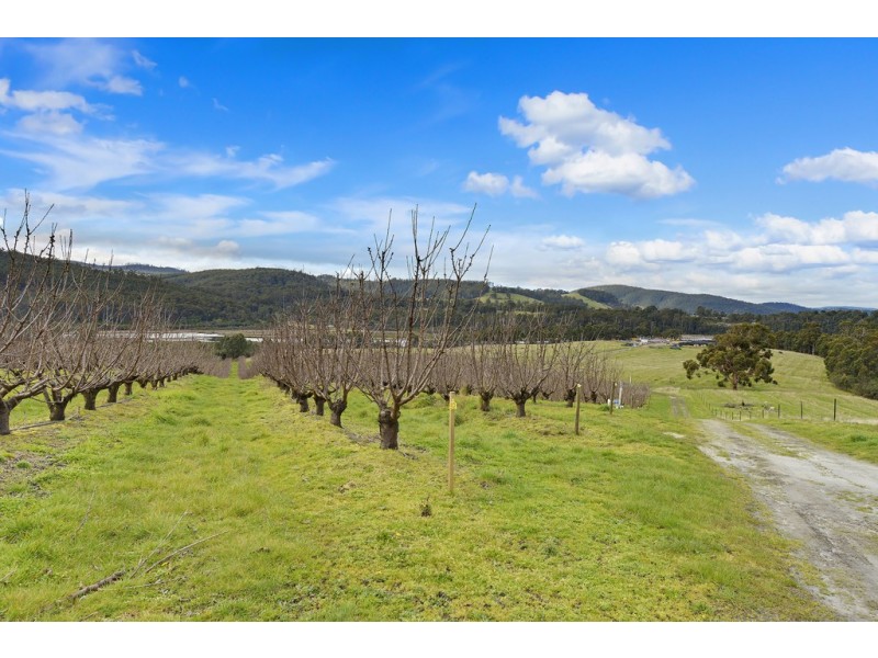0 Narrows Road, Dover TAS 7117