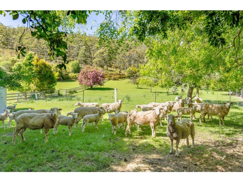 92 Pelverata Road, Sandfly TAS 7150