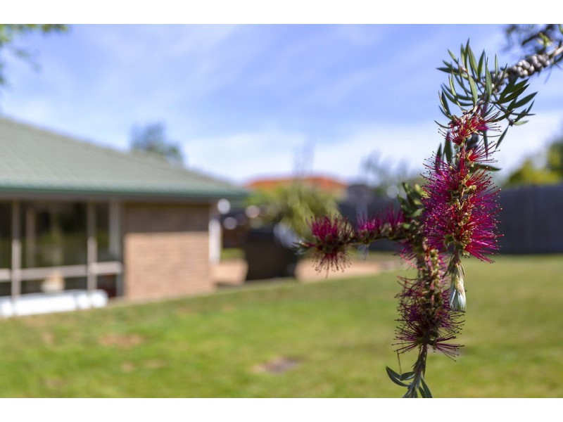 7 Iris Court, Kingston TAS 7050