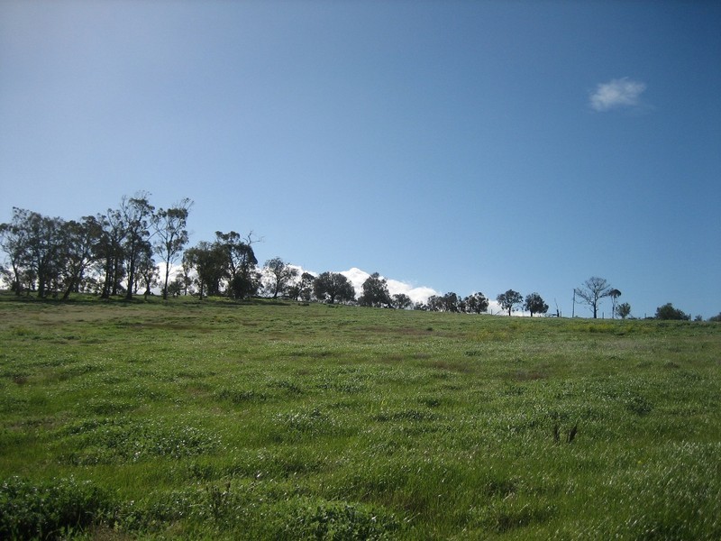 Lots 11-14 Germain Court, Sandford TAS 7020