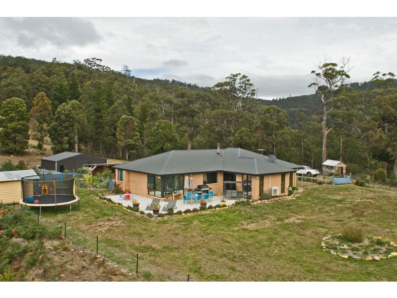 161 Seventh Day Road, Glen Huon TAS 7109