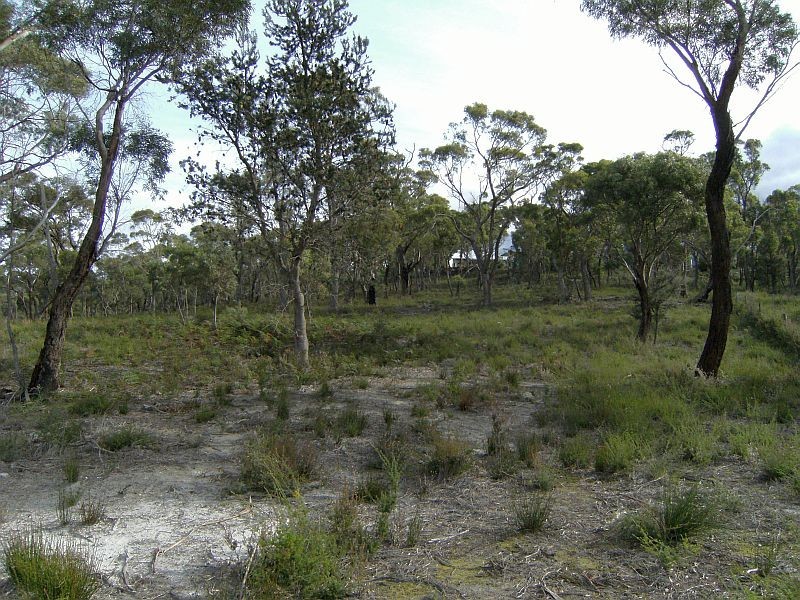 169 Axiom Way, Acton Park TAS 7170