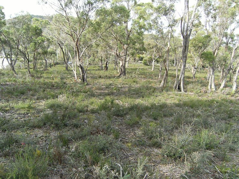 169 Axiom Way, Acton Park TAS 7170