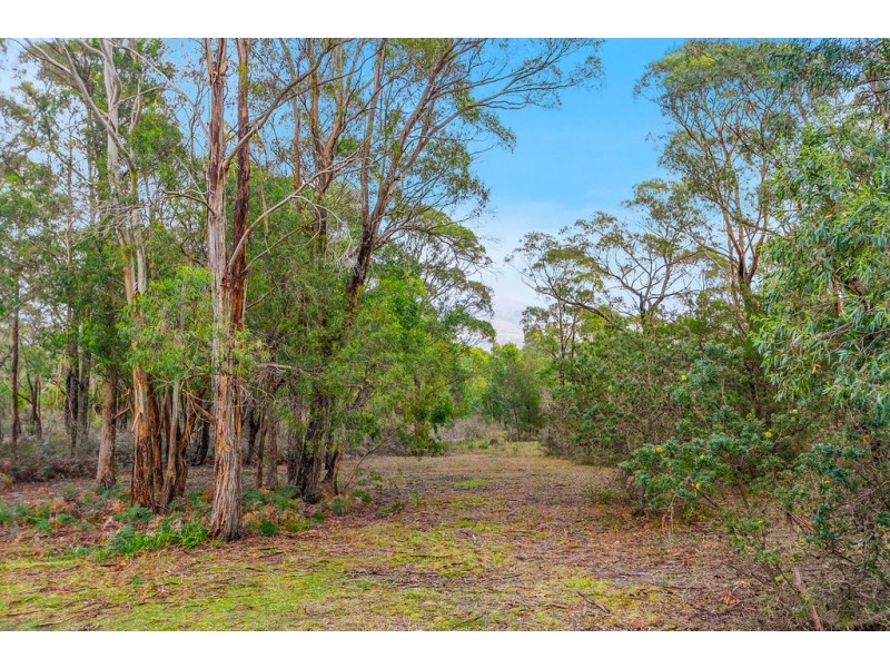 141 Brightwater Road, Blackmans Bay TAS 7052