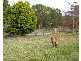 203 GELLIBRAND DRIVE, Sandford TAS 7020