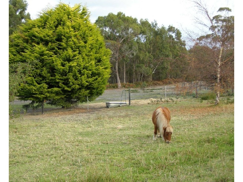 203 GELLIBRAND DRIVE, Sandford TAS 7020