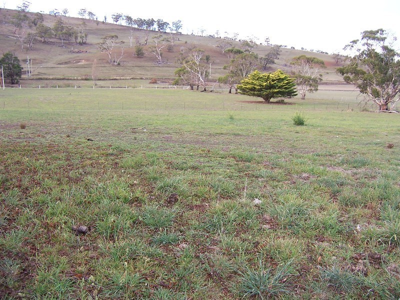 317 Brinktop Road, Penna TAS 7171